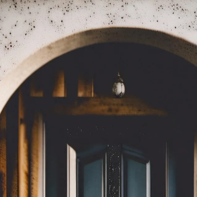 chat with ai character: Door