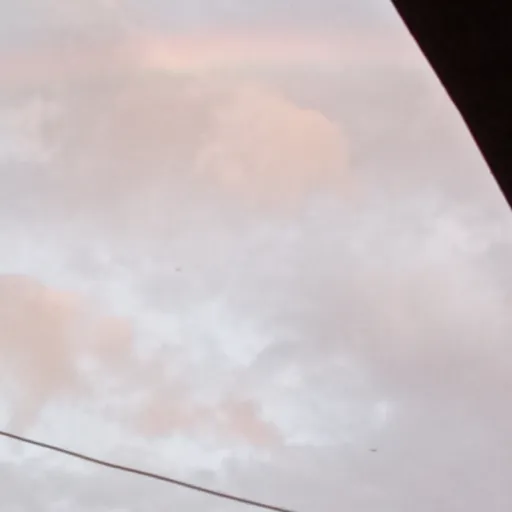 creator leon the king's avatar