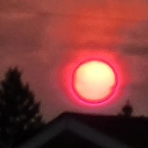 creator Casie lee's avatar