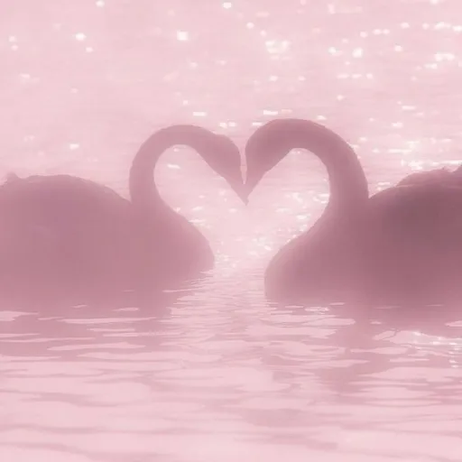 creator 🦢ɑℓєхɑ🌷's avatar