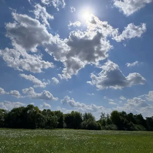 creator Kalyan 2.0's avatar