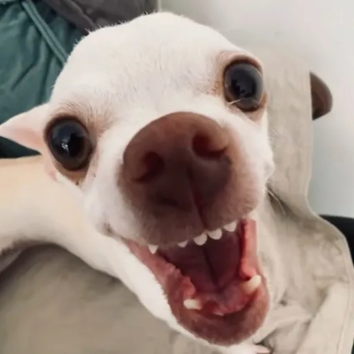 creator taki masamune's avatar