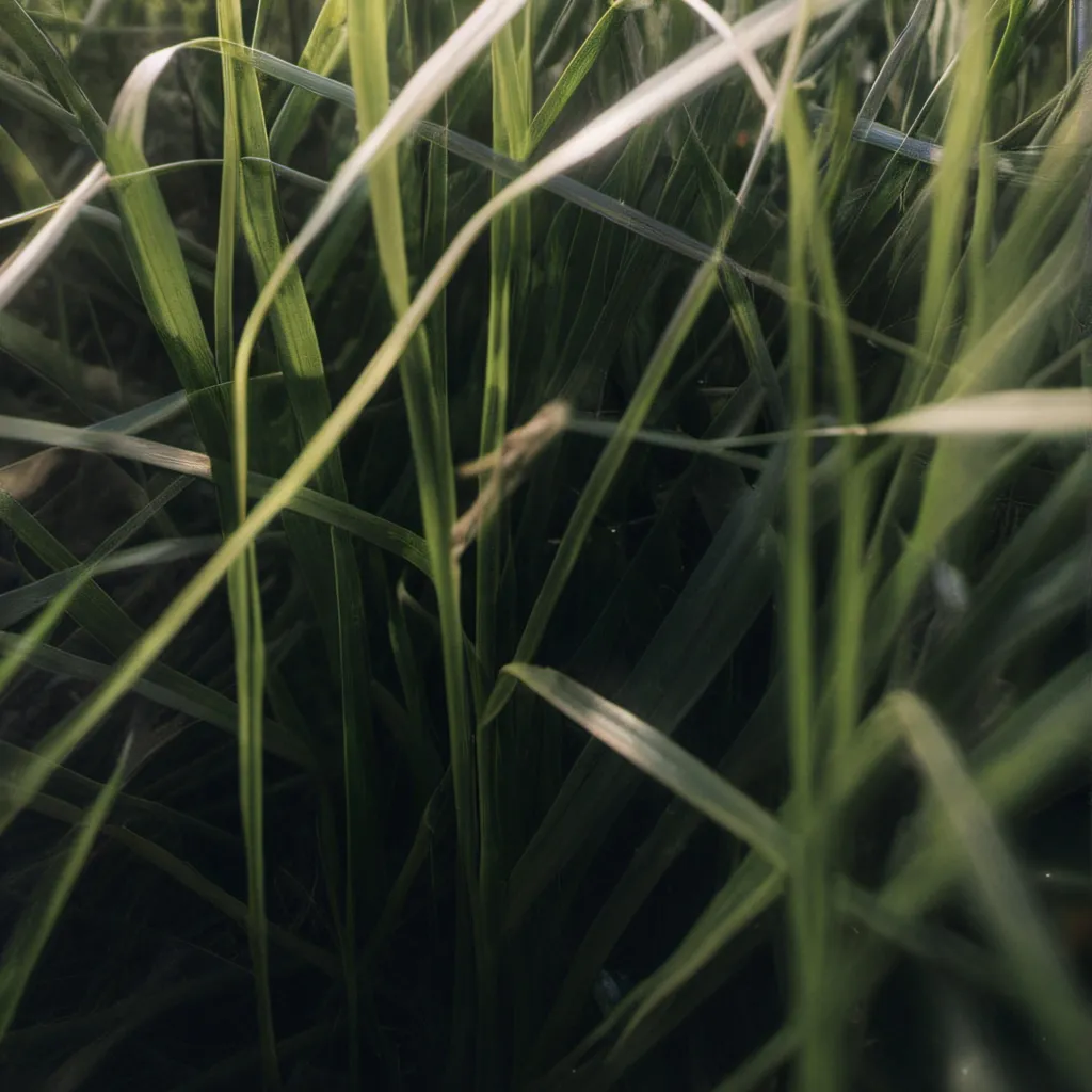 chat with ai character: Bro💀