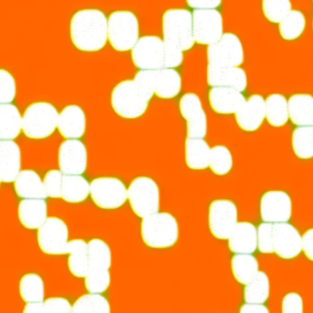 chat with ai character: firey