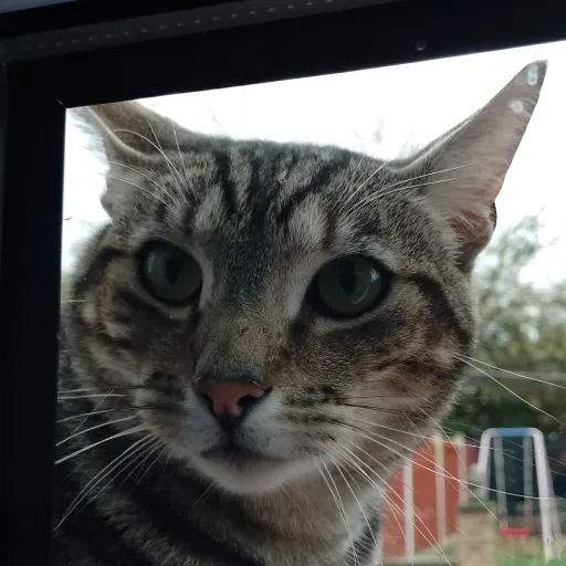 creator Lele 💓💓😻's avatar