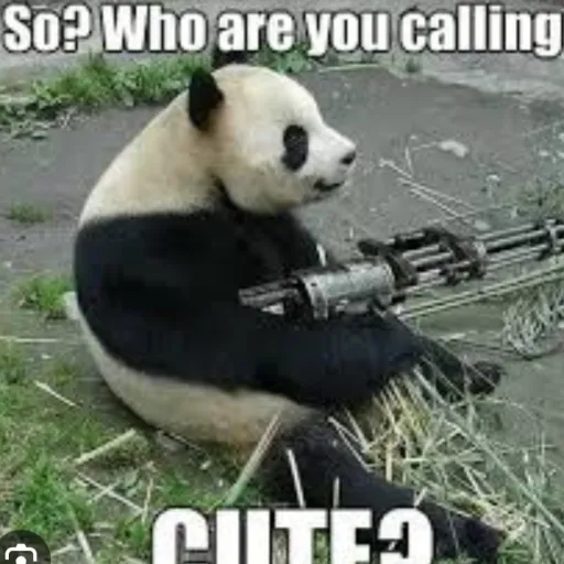 creator kitty 🐱1002's avatar