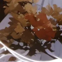 chat with ai character: Elizabeth