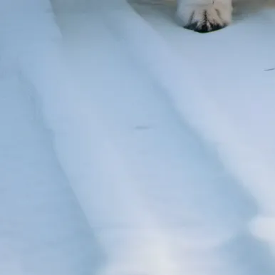 chat with ai character: .