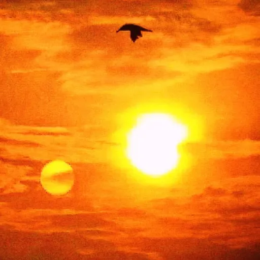 creator Lord Snow's avatar