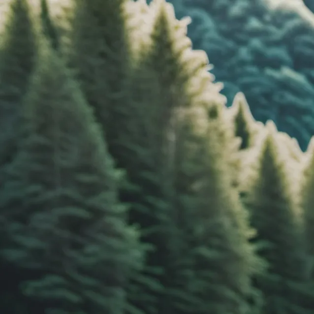 chat with ai character: grass