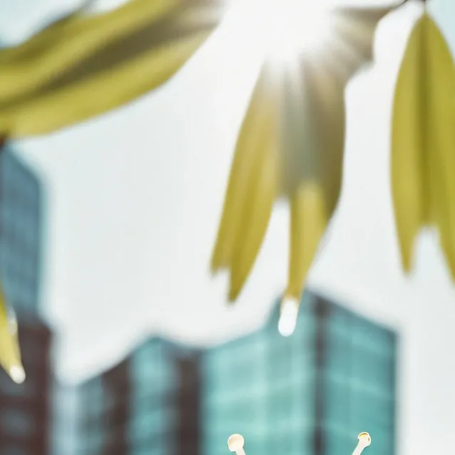 chat with ai character: Talking snail