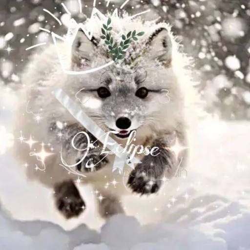 creator Eclipse for life's avatar