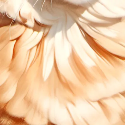 chat with ai character: Carl grimes💅🩷