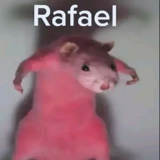 creator Rafael the rat's avatar