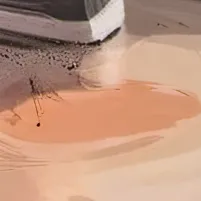 chat with ai character: FPE