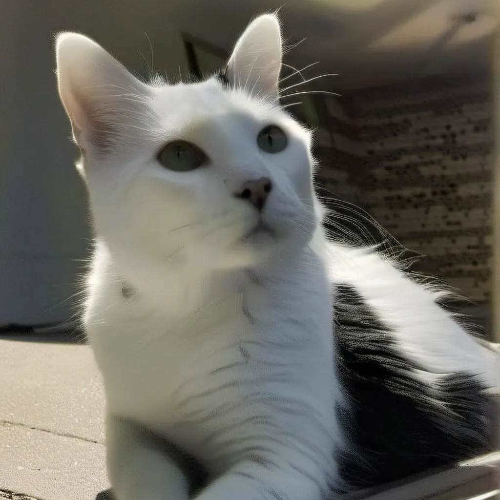 chat with ai character: Voxs Abilitys?! 