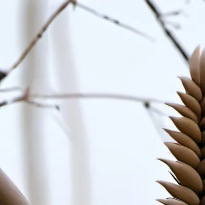 chat with ai character: idkidkdikddk