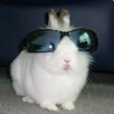 creator Talkior-IjnX1oTalT's avatar