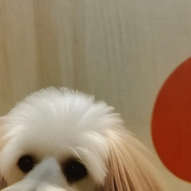 chat with ai character: u can name it