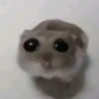 creator •xainder•'s avatar