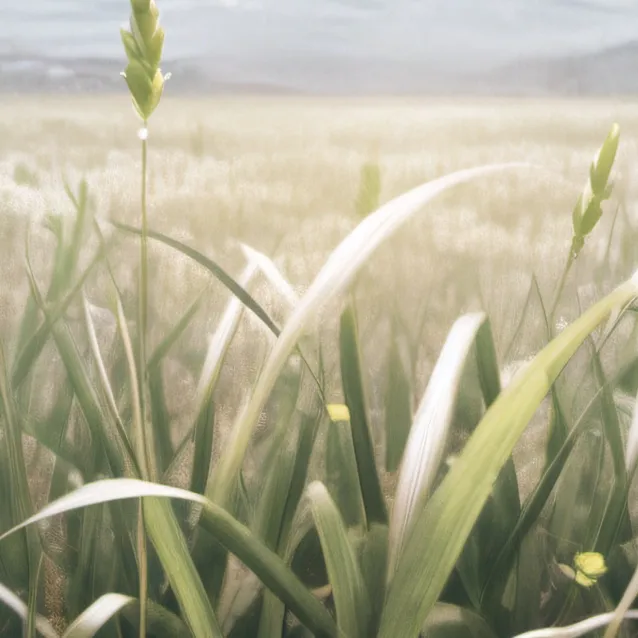 chat with ai character: GRASS