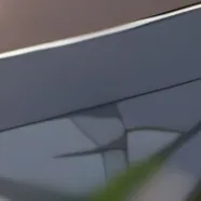 chat with ai character: Jayjay