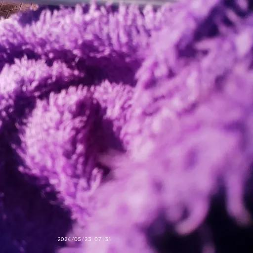 creator alex Lucas's avatar