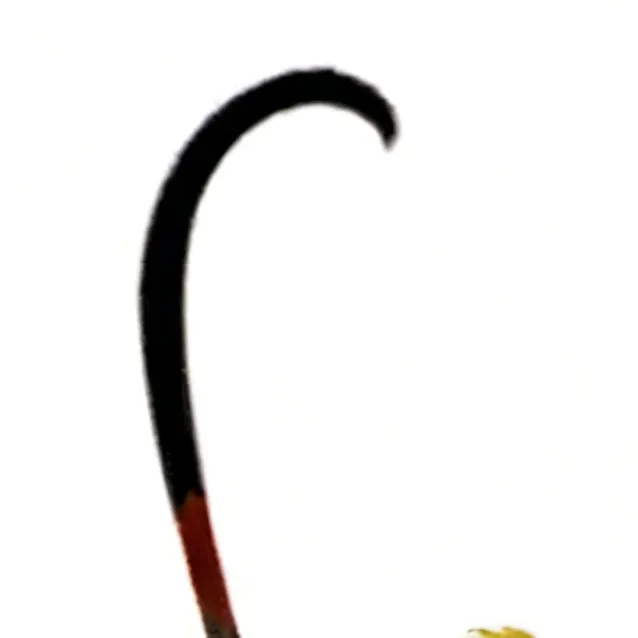 chat with ai character: ai copy