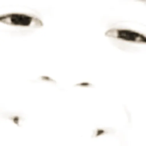 creator SKIDIBI 👹👹's avatar