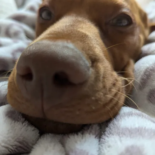 creator ThaliaT's avatar