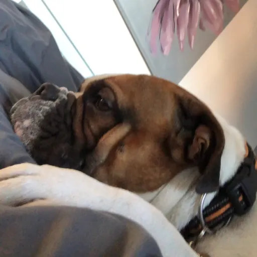 creator Vibrant_Vibez275's avatar