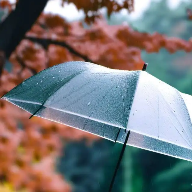 chat with ai character: Rainy day