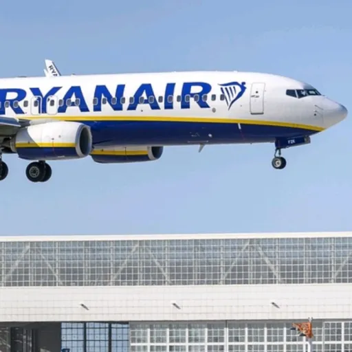 creator patchyboy's avatar