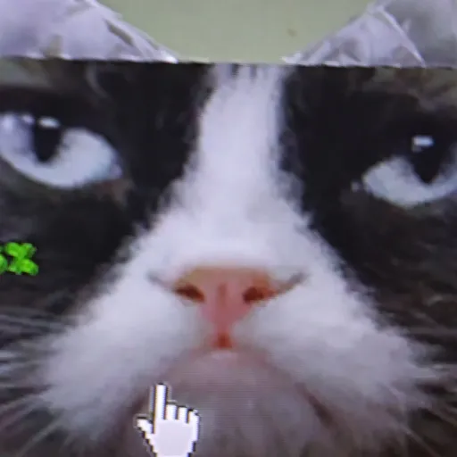 creator Grumpgrumplovecat's avatar