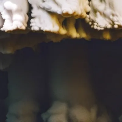 chat with ai character: Thunderstorm