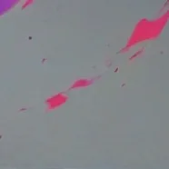 chat with ai character: look at intro