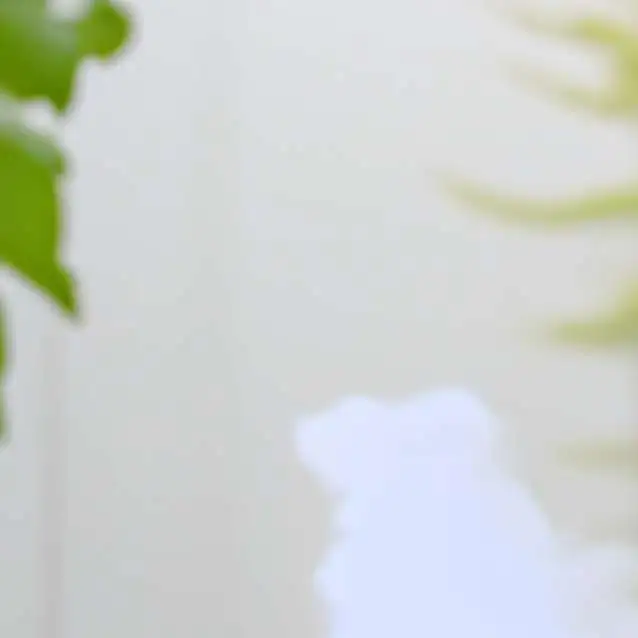 chat with ai character: ginger