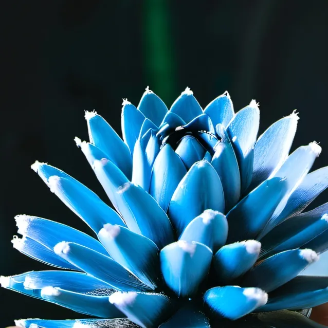 chat with ai character: a man