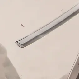 chat with ai character: Ryu