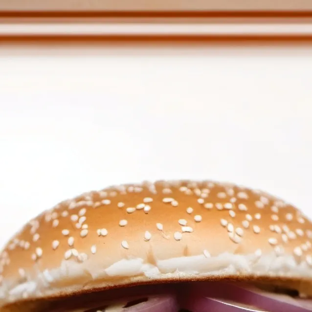 chat with ai character: hamburger