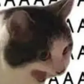 creator Siamie-Shiamie's avatar