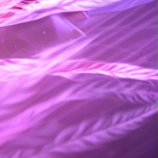 chat with ai character: Dyrroth