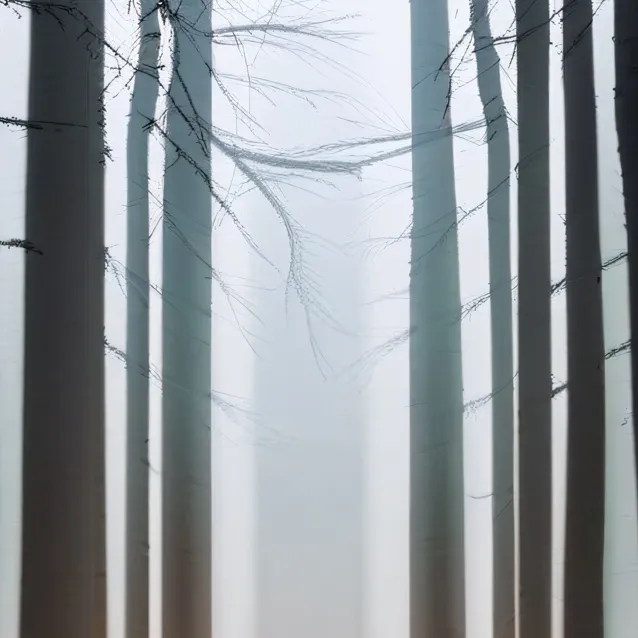 chat with ai character: Mha forest..... 