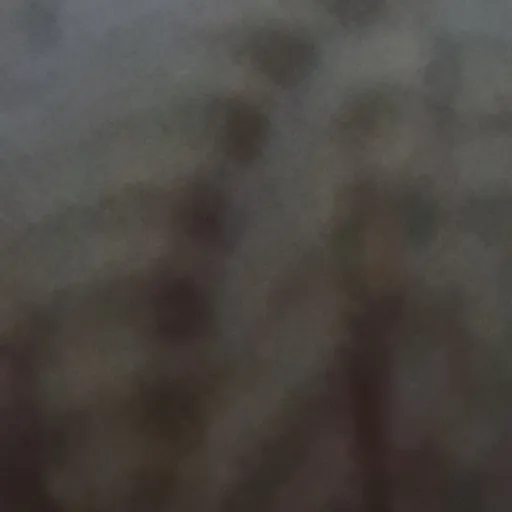 creator ryannekoandBryanne's avatar