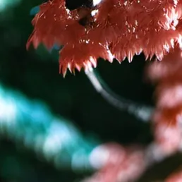 chat with ai character: hogworts 😃