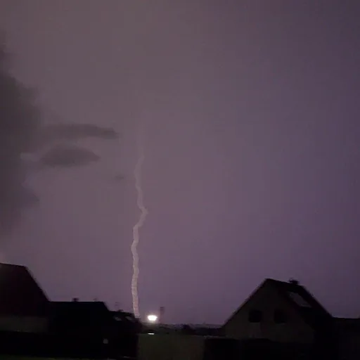 creator norell's avatar