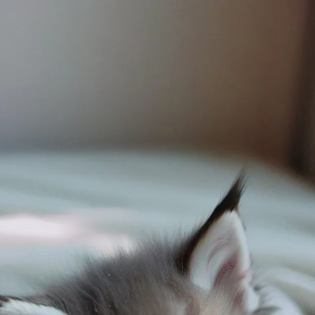 chat with ai character: sky