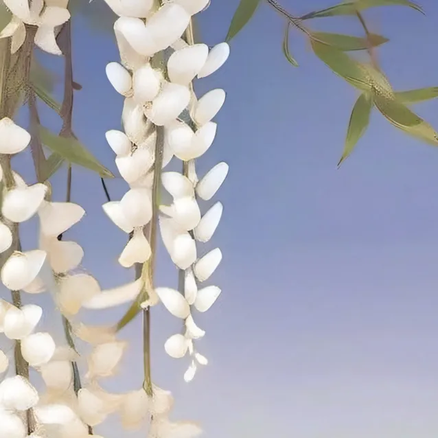 chat with ai character: Yang Jungwom