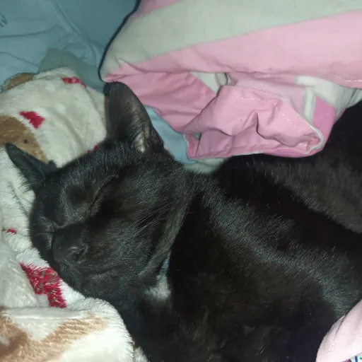 creator angelica48185's avatar