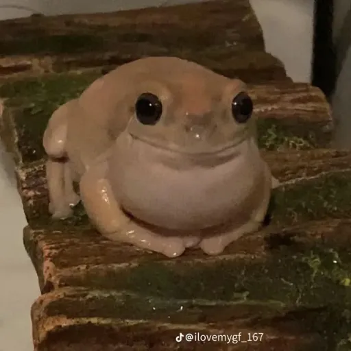 creator Gertthefroggyfrog's avatar